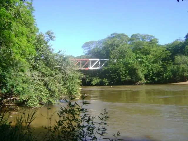 DIVULGAÇÃO