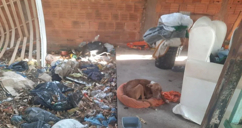 Polícia Militar Ambiental 