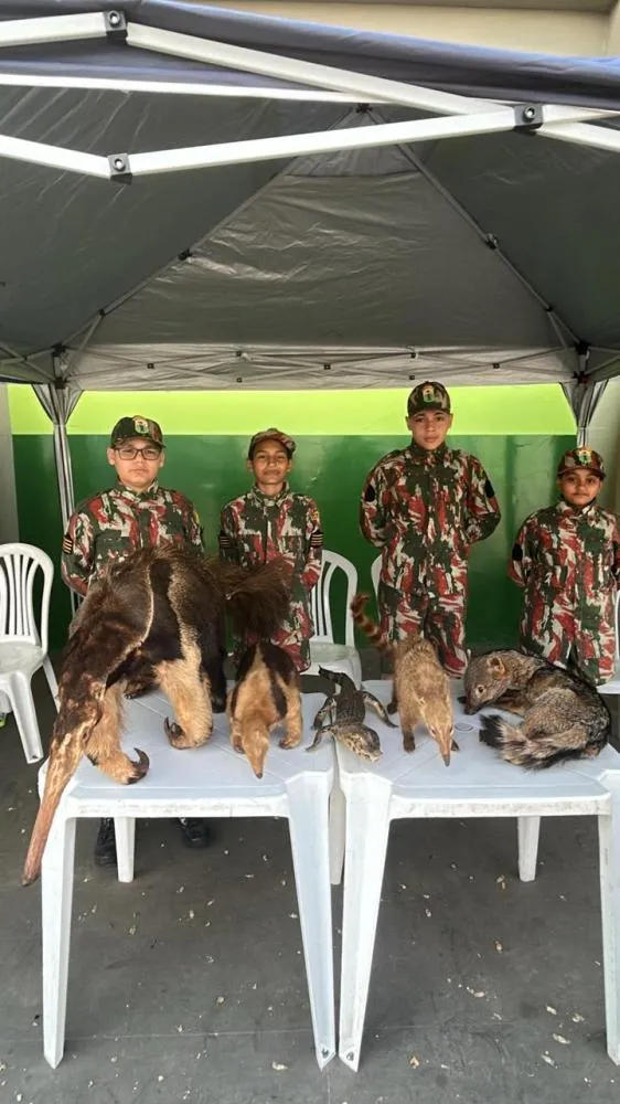 DIVULGAÇÃO/POLÍCIA MILITAR AMBIENTAL