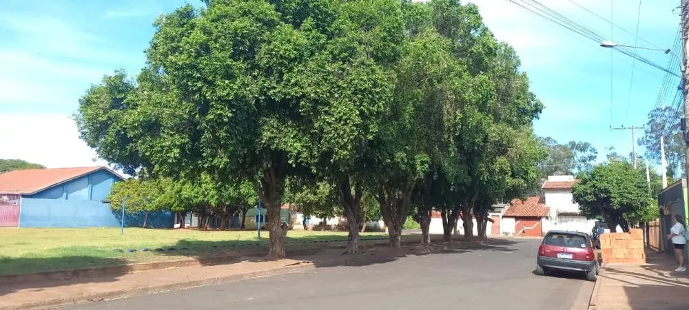 JORNALISTA ALFREDO NETO/RCN67 JPNEWS