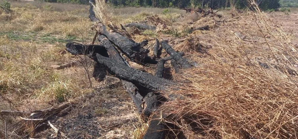 DIVULGAÇÃO/POLÍCIA MILITAR AMBIENTAL 