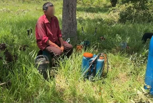 MATO GROSSO DO SUL NOTÍCIAS